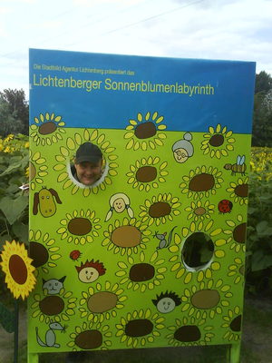 sonnenblumenlabyrinth