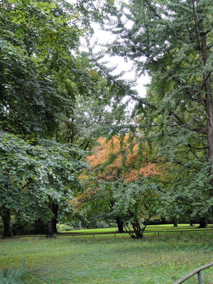 Tiergarten