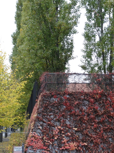 Alte-Jakob-Str., Jüdisches Museum.