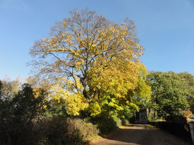 Vor der Ravensteiner Mühle