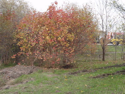 Park bei Mahlsdorf