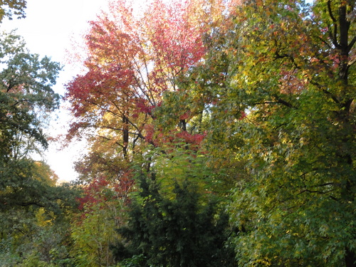 Im Tiergarten .