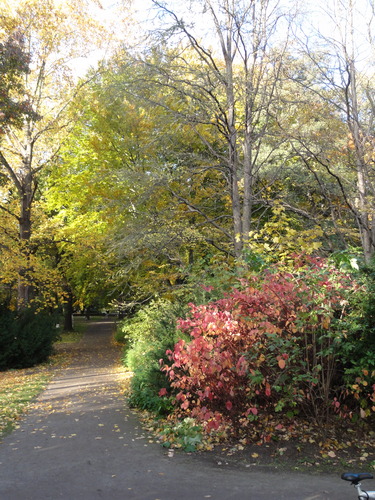 Im Tiergarten .