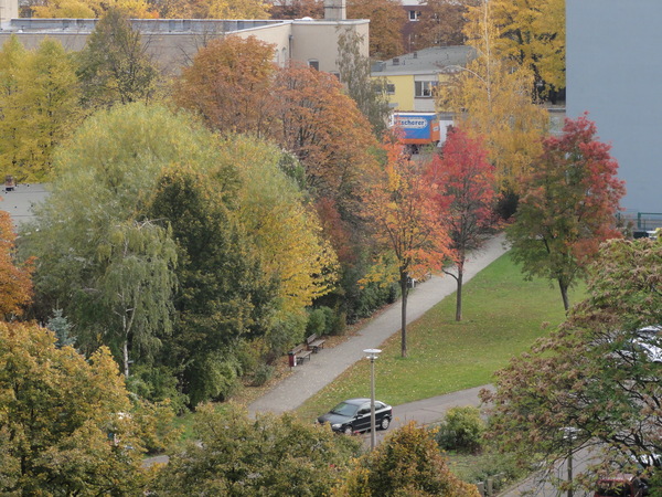 Blick nach Osten im Herbst