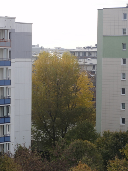 Blick nach Osten im Herbst