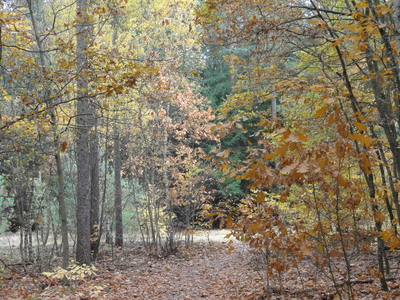 In Grünau