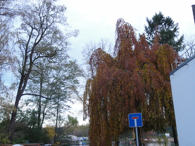 Schmökwitz