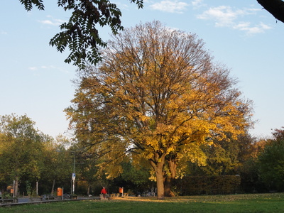 Blücherplatz