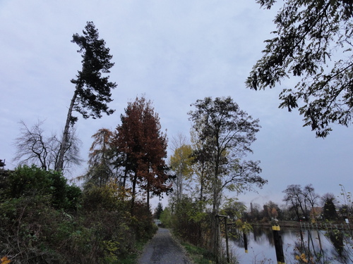 Kanal am Plötzensee