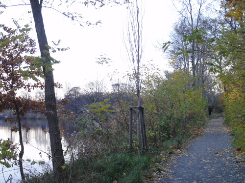 Kanal am Plötzensee