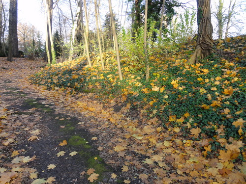 Zentralfriedhof Friedrichsfelde