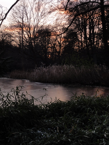 Tiergarten