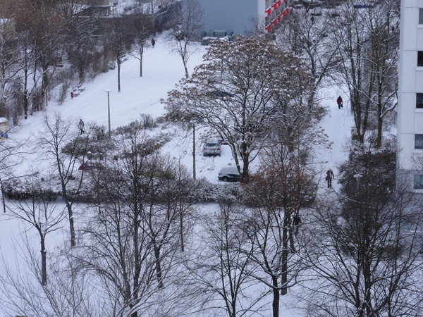 Snow from my window