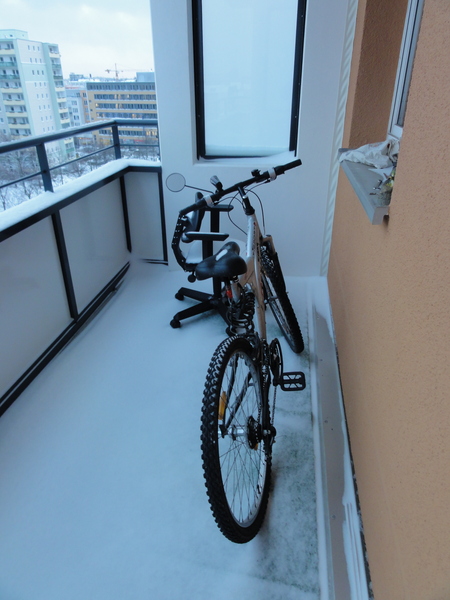 Snow from my window