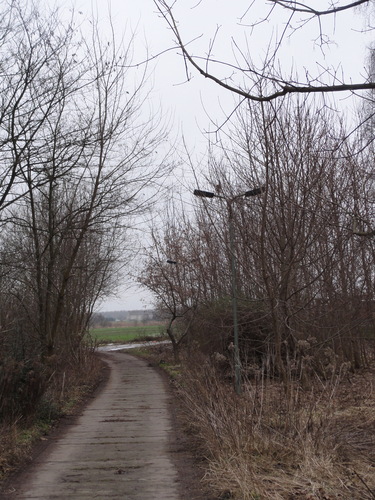 Mauerweg zw. Märkischem Viertel und Rosenthal