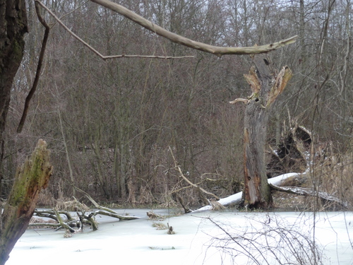 Freizeitpark Lübars