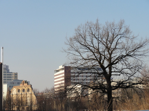 Hallesche Straße