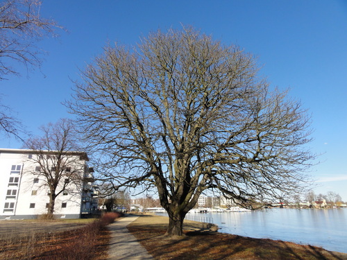 Spandau, an der Havel