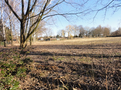 Hakenfelde / Rohrbruchwiesen