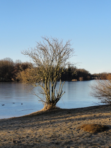 Tegeler See, Ostufer