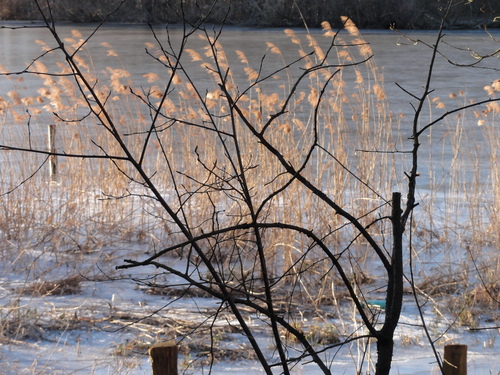 Tegeler See, Ostufer