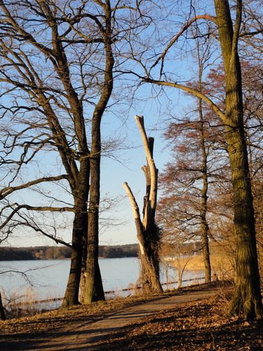 Tegeler See, Ostufer