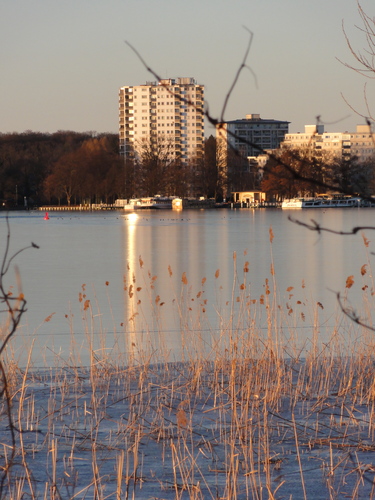 Tegeler See, Am Borsighafen