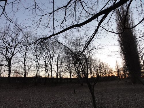 Tegeler See, Am Borsighafen