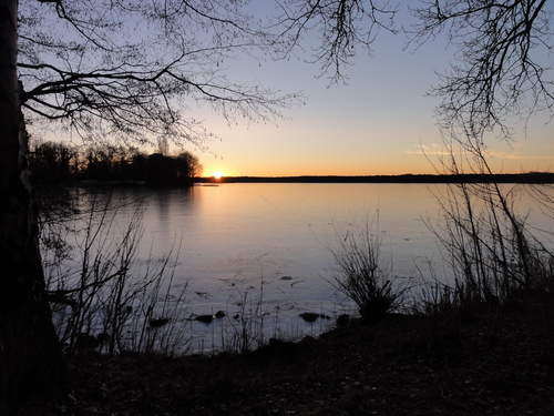 Tegeler See, Am Borsighafen