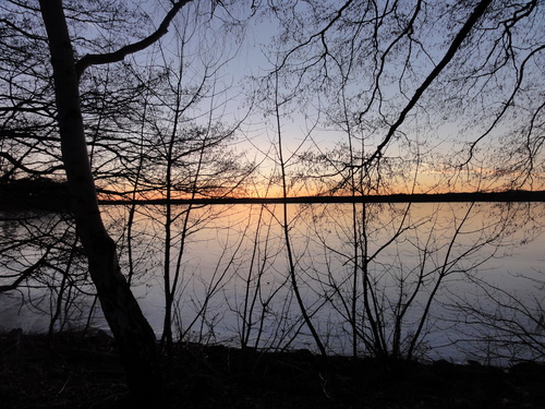 Tegeler See, Am Borsighafen