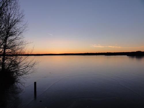 Tegeler See, Am Borsighafen