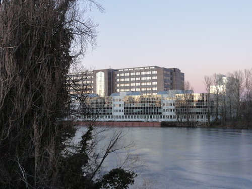 Tegeler See, Am Borsighafen