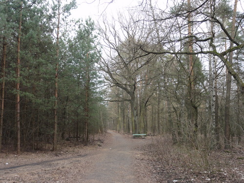 Köpenick: Weg zu den Müggelbergen