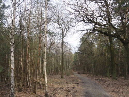 Köpenick: Weg zu den Müggelbergen