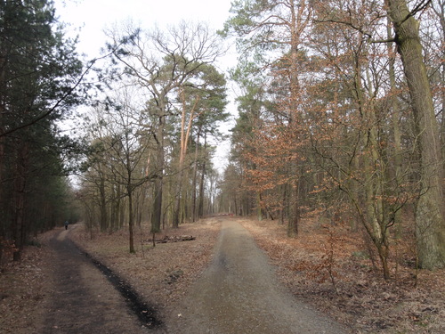 Köpenick: Weg zu den Müggelbergen