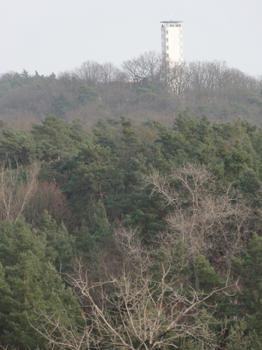 Köpenick: Kanonenberg Blick auf Müggelturm