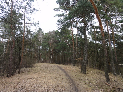 Köpenick: Weg zum  Müggelturm