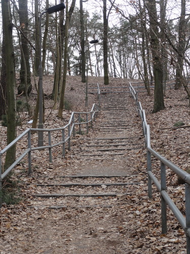 Treppe zum Müggelturm