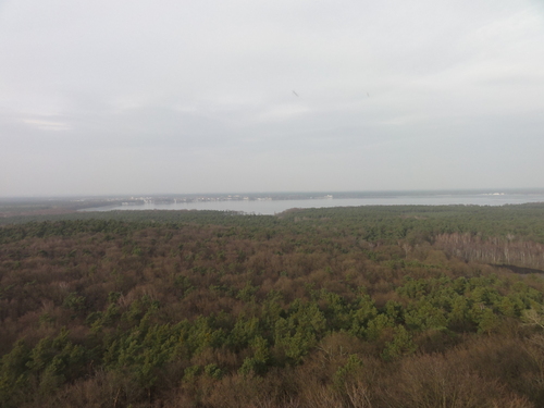 Blick vom Müggelturm