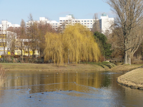 Wittenau / Märkisches Viertel