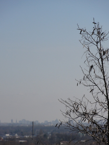 Lübarser Höhe  / Blick auf Berlin