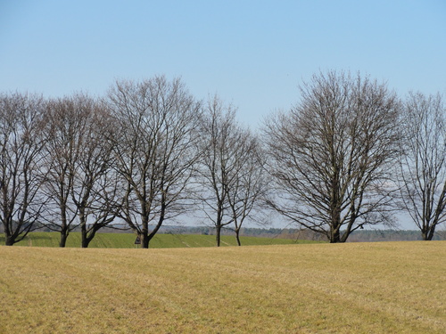 Towards Lübars