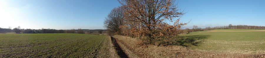 Towards Lübars