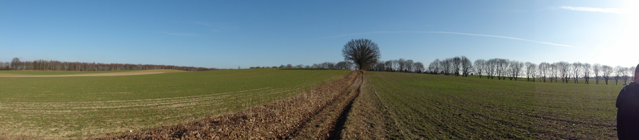 Towards Lübars