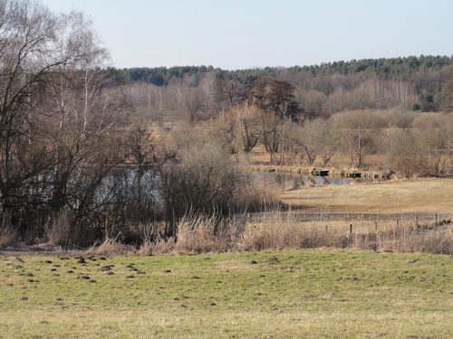 Tegeler Fließ