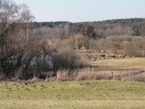 Tegeler Fließ