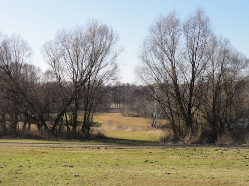 Tegeler Fließ