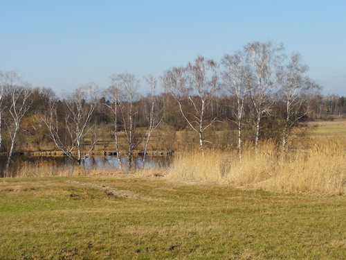 Tegeler Fließ