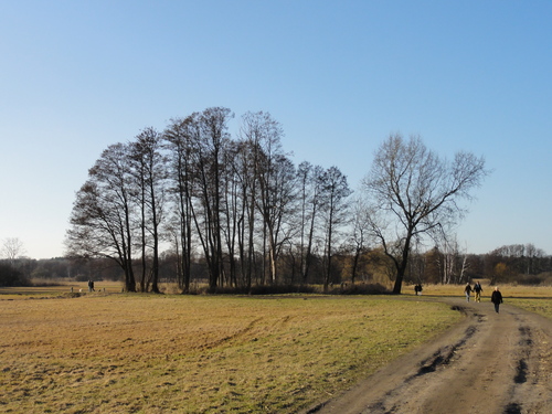 Tegeler Fließ zwischen Lübars und Hermsdorf