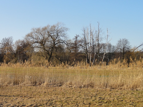 Tegeler Fließ zwischen Lübars und Hermsdorf